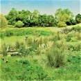 thumbnail image 2 of Woodland Scenics Field Grass Groundcover, Light Green, Model Train Scenery, 2 of 2