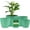 Mint, variant on Mint Plant Pots with Drainage Holes & Saucers 3 Packs, Indoor & Outdoor Stackable Plastic Planters in Multiple Sizes for Houseplants & Flowers, Durable & Weatherproof Materials, Matte Finish
