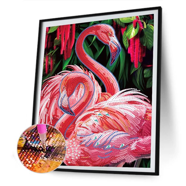 Cuadros Decorativos Kit de pintura de diamante 5D Flamenco Forma especial parcial Taladro Rhinestone DIY Pared DQrwqpou Nuevos Originales