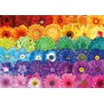 thumbnail image 3 of Buffalo Games - Color Explosion - Flower Spectrum - 300 Piece Jigsaw Puzzle, 3 of 6