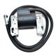thumbnail image 4 of Briggs & Stratton Encendido 398811 398265 395492 395326 394963 ACTIVE Biensenido a ACTIVE, 4 of 4