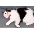 thumbnail image 3 of Mumup Christmas Collar for Cat Pet Breakaway with Bell Bowtie Detachable Bow Adjustable Safety Kitten Puppy Girl Boy 2pcs Christmas, 3 of 8