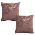 thumbnail image 1 of Funda de almohada de felpa para sala de estar, funda de almohada dorada de doble cara para sofá y dormitorio, 2 uds., 1 of 5