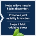 thumbnail image 3 of Life Extension | MSM 1000 mg, 100 capsulas. Suplemento de salud articular para adultos, 3 of 7
