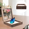 thumbnail image 3 of 1 Set of Insect Display Case Durable Insect Specimen Box Wood Insect Showcase for Home, 3 of 4