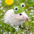 thumbnail image 2 of GYTY Mini Knit Pet Hats for Mice Birds Lizards Squirrels Guinea Pigs Sugar Gliders - Adjustable Lanyard - Cute Accessories for Small Animals for Pet Parties Daily Fun! (Carrot), 2 of 7