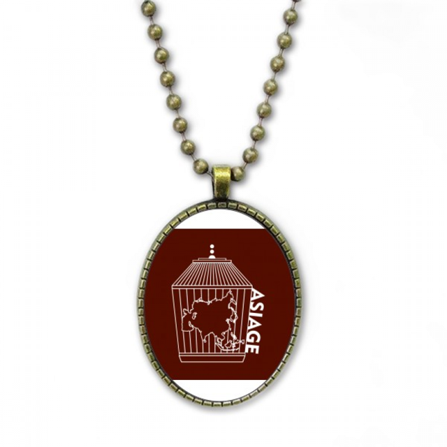 Asia Cage continental Map Collar Colgante de cadena vintage Colección de joyas colgantes Unbranded M