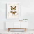 thumbnail image 2 of Butterflies VI - Drawing Vintage Nature Botanical White Framed Wall Art Print 24 x 36 inches, 2 of 3