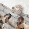 thumbnail image 2 of Naloa Cute Bulldogs Apply Dog Blanket, 3 Sizes Cat Blanket for Indoor Cats Large Medium Small Dog Gifts-Small, 2 of 8