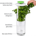 thumbnail image 3 of Vegetable Herb Preservator Herb Coriander Fresh-Keeping Box Breathable Herb Storage Container, 3 of 7