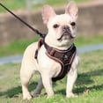 thumbnail image 4 of SPRING PARK Dog Harness and Traction Rope Set, Breathable Soft Mesh Puppy Vest Harness Reflective Adjustable Pet Harnesses for Small Medium Dogs, 4 of 7