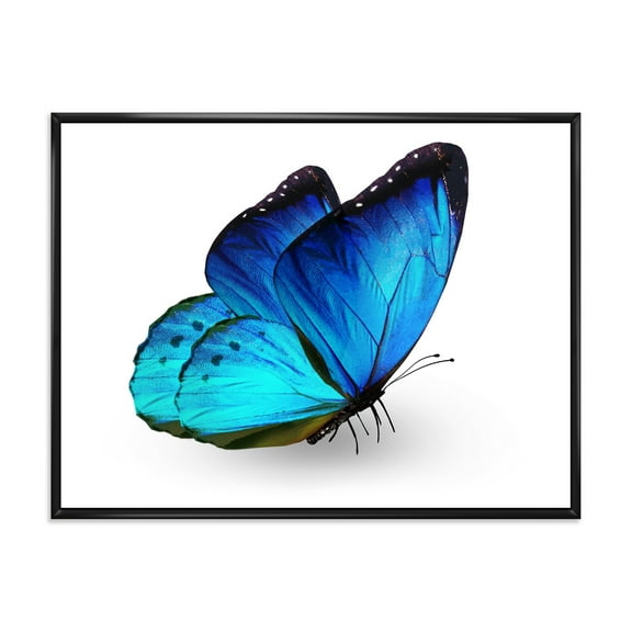Designart 'Close Up Of Vibrant Blue Butterfly On White' Modern Framed Canvas Wall Art Print