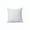 White, variant on RBCKVXZ 18 x 18 Pillow Inserts - Throw Pillow Inserts - 18 Inch Square Decorative Pillows for Sofa, Couch, Bed and Home Decor