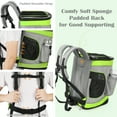 thumbnail image 4 of Pawsse Pet Carrier Backpack, Green & Gray, 16"H x13.2"L x12"W, 4 of 7