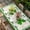 Green Beige, variant on St. Patrick's Day Table Cloths for 4 Foot Rectangle Tables, Spring Green Shamrock Leaves Beige Patio Waterproof Elastic Fitted Tablecloths, Washable Rectangular Table Cover for Camping