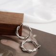thumbnail image 3 of Women's Earrings, Adult Exquisite Solid Color Twist Shape Round Hoop Earrings Female Jewelry, 3 of 6
