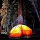 thumbnail image 5 of 2PCS Perimeter Trip Alarm 12 Gauge Camping Trip Wire Alarm DefenseDevice Warning System for Securit, 5 of 5