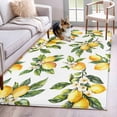 thumbnail image 3 of Lemon Flower Area&nbsp;Rug 3x5ft Watercolor Summer Leaf Non-Slip&nbsp;Washable Square&nbsp;Rugs Soft Felt Indoor Floor Mat for Bedroom Kitchen Living Room Bathroom, 3 of 9