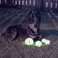 thumbnail image 3 of Juego de 4 bolas para perros Chew King Glowing Fetch Ball, 3 of 7