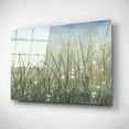 thumbnail image 2 of Epic Art 'Bliss II' by Tim O'Toole, Acrylic Glass Wall Art, 16"x12", 2 of 3