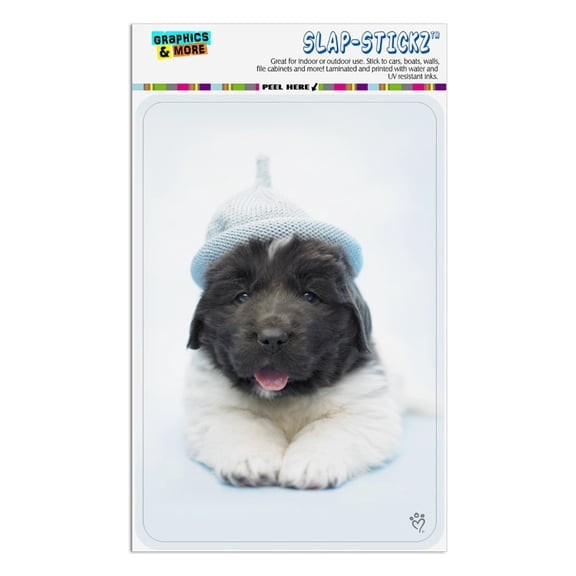 Newfoundland Puppy Dog Knitted Beanie Hat Home Business Office Sign