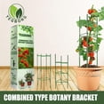 thumbnail image 2 of LYD Plant Climbing Support Flower Stand Apilable Combinado Tipo Botany Bracket Set LYD JJ0072302, 2 of 2