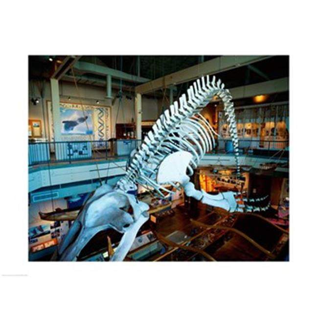 快適グッズ・旅行小物 TKNK PRODUCTS hanging whale Amazon.com: Kikkerland Zip and Flip Travel Neck Back Pillow