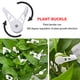 thumbnail image 5 of APPERANCIA EXQUISITO EXQUISITO BLANCO BLANCO DE LA PLANTA DE LA PLANTA PARA LA BOTANA DE LA BOTANA DE LA HECHILLA DE LA HEBILLA DE LA COMPRENCIA DE LA HEJA DE LA HEBIDA DE LA BOTANA Sweethay HA059477-00, 5 of 7