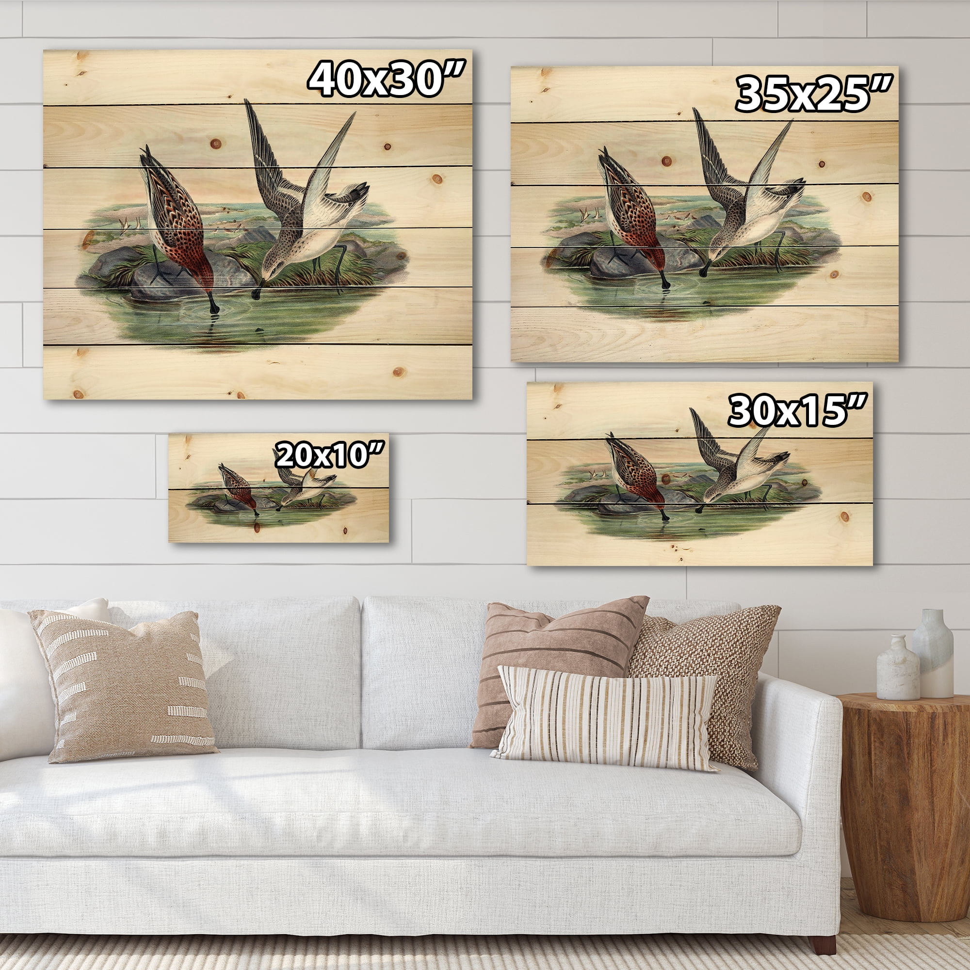 Designart 'Vintage Countryside Two Birds In Lake' Farmhouse Print on Natural Pine Wood