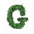 thumbnail image 1 of Modern Home 12" Real Preserved Boxwood Monogram Wreath Letters - G, 1 of 2