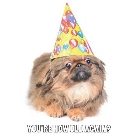 You're How Old Again? Birthday Greeting Card