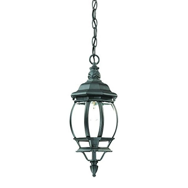 Acclaim 5056BK Chateau Collection 1-Light Outdoor Light Fixture Hanging Lantern, Matte Black