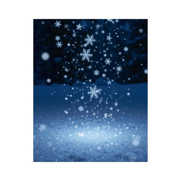 Paint By Numbers Kit for Adults Beginner - DIY Winter Snowflakes Night Scene Canvas Painting Kits for Adults, Frameless Paint By Number for Adults for Home Wall Decor 16x20 Inch