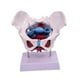 thumbnail image 3 of Modelo de pelvis femenina, modelo de esqueleto femenino, pantalla anatómica de PVC, artículo educativo. Estilo C, 3 of 9