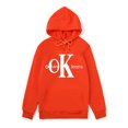 thumbnail image 4 of Sudadera con capucha para hombre, básica, informal, con estampado de letras europeas y americanas, forro polar, cálida, holgada, informal, para invierno, 4 of 4