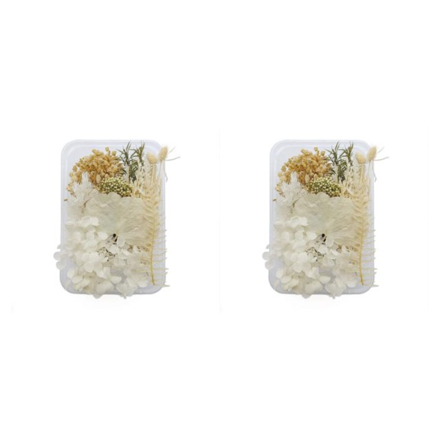 Plantas de flores secas Moyic para caja de teléfono móvil y velas 2Conjunto tipo 1
