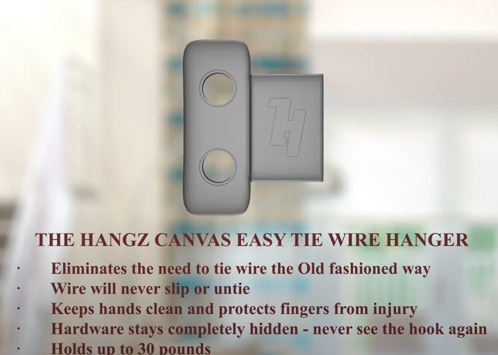 HangZ 10004B Easy Tie 2 Hole D ring (50-Pack) 50lb