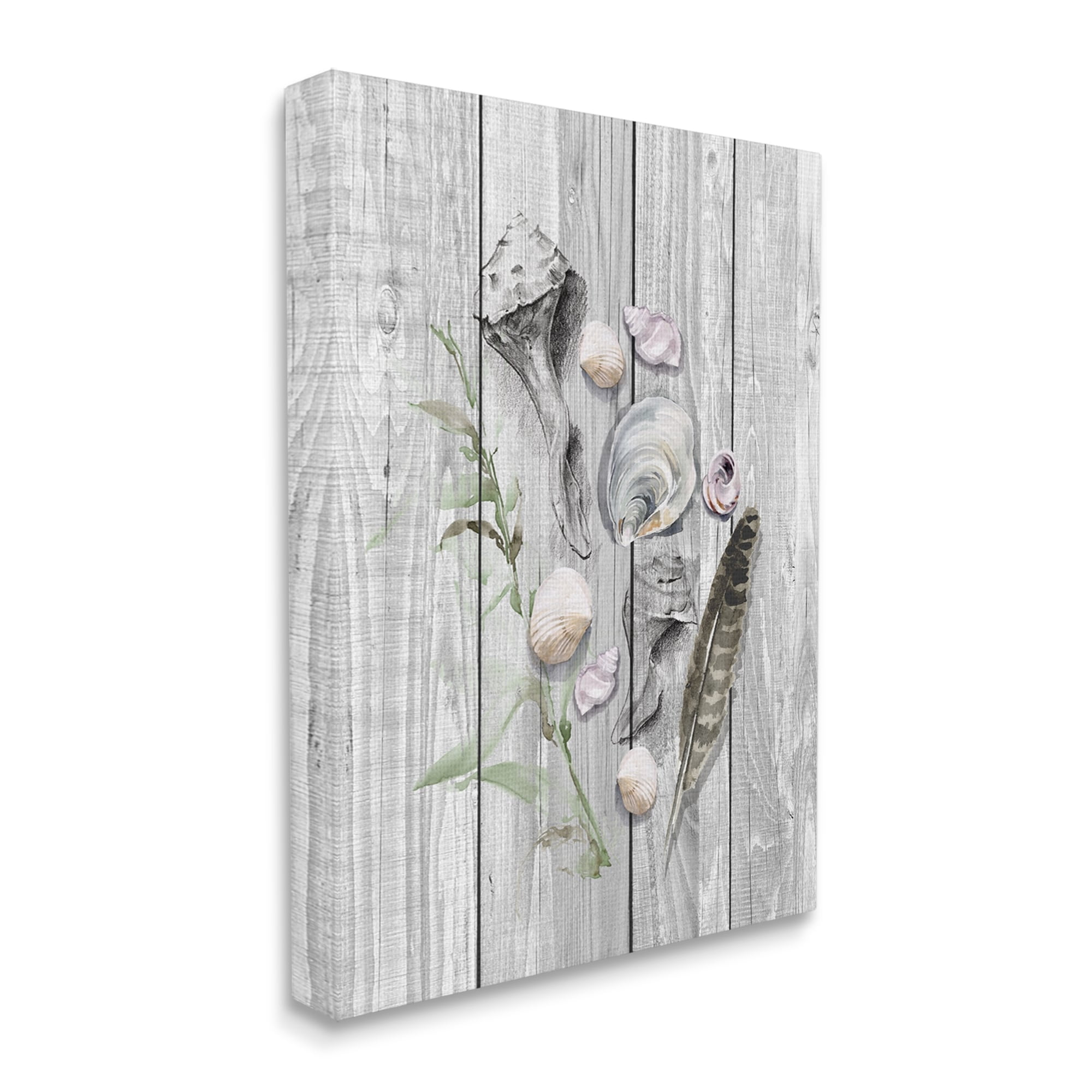 Stupell Various Sea Life Coastal Shells Landscape Painting Gallery Wrapped Canvas Print Wall Art