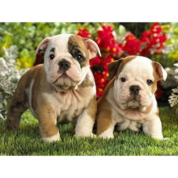 Baby Bulldogs Edible Image Icing Cake Topper for Quarter Sheet Cake, by TNCT