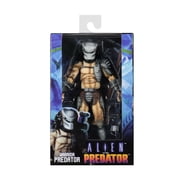 Alien vs Predator (Arcade) - 7 Scale Action Figure - Warrior Predator - NECA