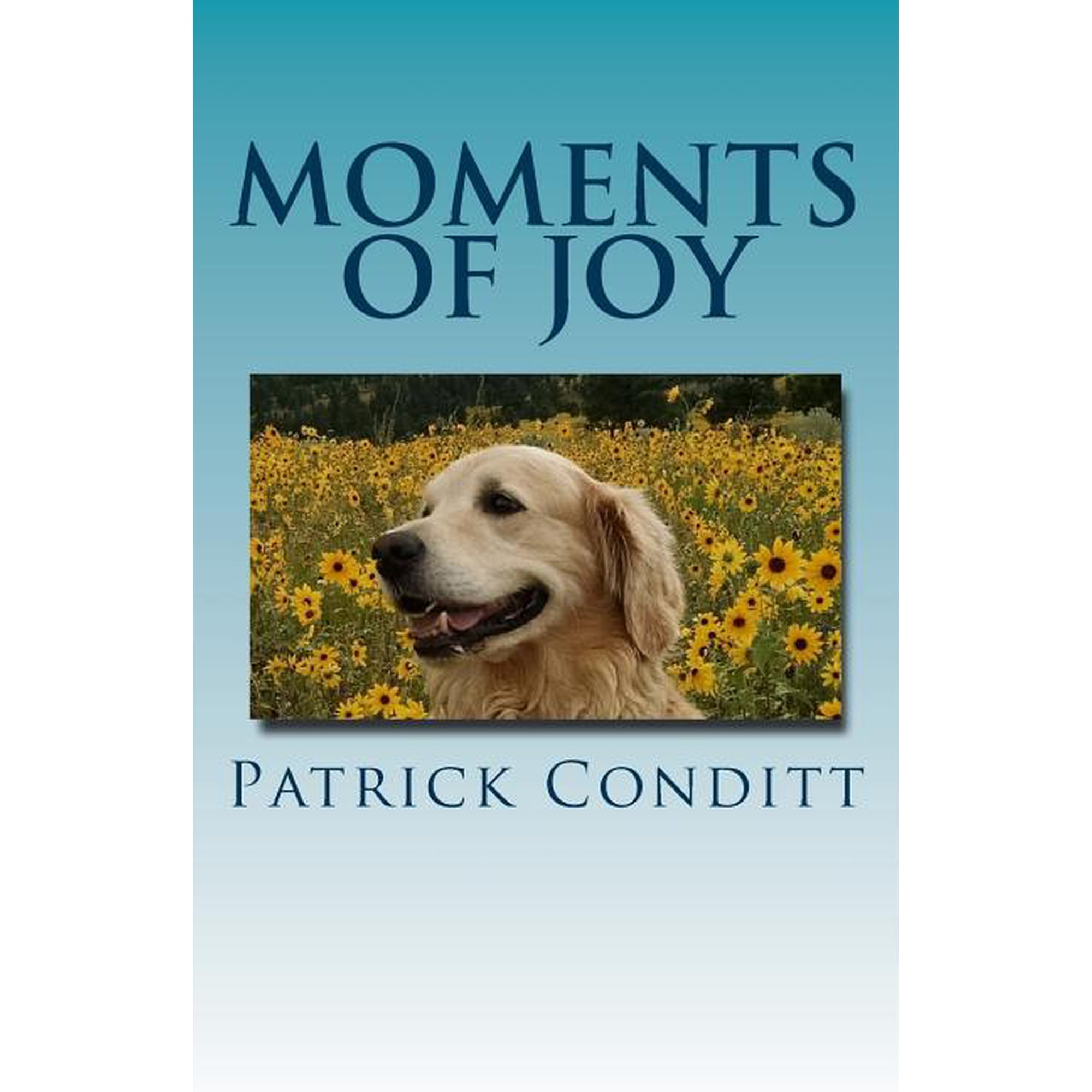 Moments Of Joy (Paperback)