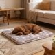 thumbnail image 5 of Cama autocalentable para gatos, alfombrilla autocalentable para gatos y almohadilla calefactora lavable para uso en interiores, 5 of 6