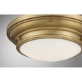 thumbnail image 6 of Trade Winds Lighting 2-Light Ceiling Light In Natural Brass, 6 of 6