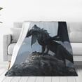 thumbnail image 1 of Balery Valley Gray Dragon Manta de Felpa Suave y Acogedora – Cobija de Franela Aterciopelada para Cama, Lavable y Cálida para Sofá, Mascotas, Transpirable-80"x60", 1 of 7