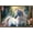 Bronze Framed Version, variant on Shawna Stewart - Unicorn Sparkle Wall Poster, 22.375" x 34"
