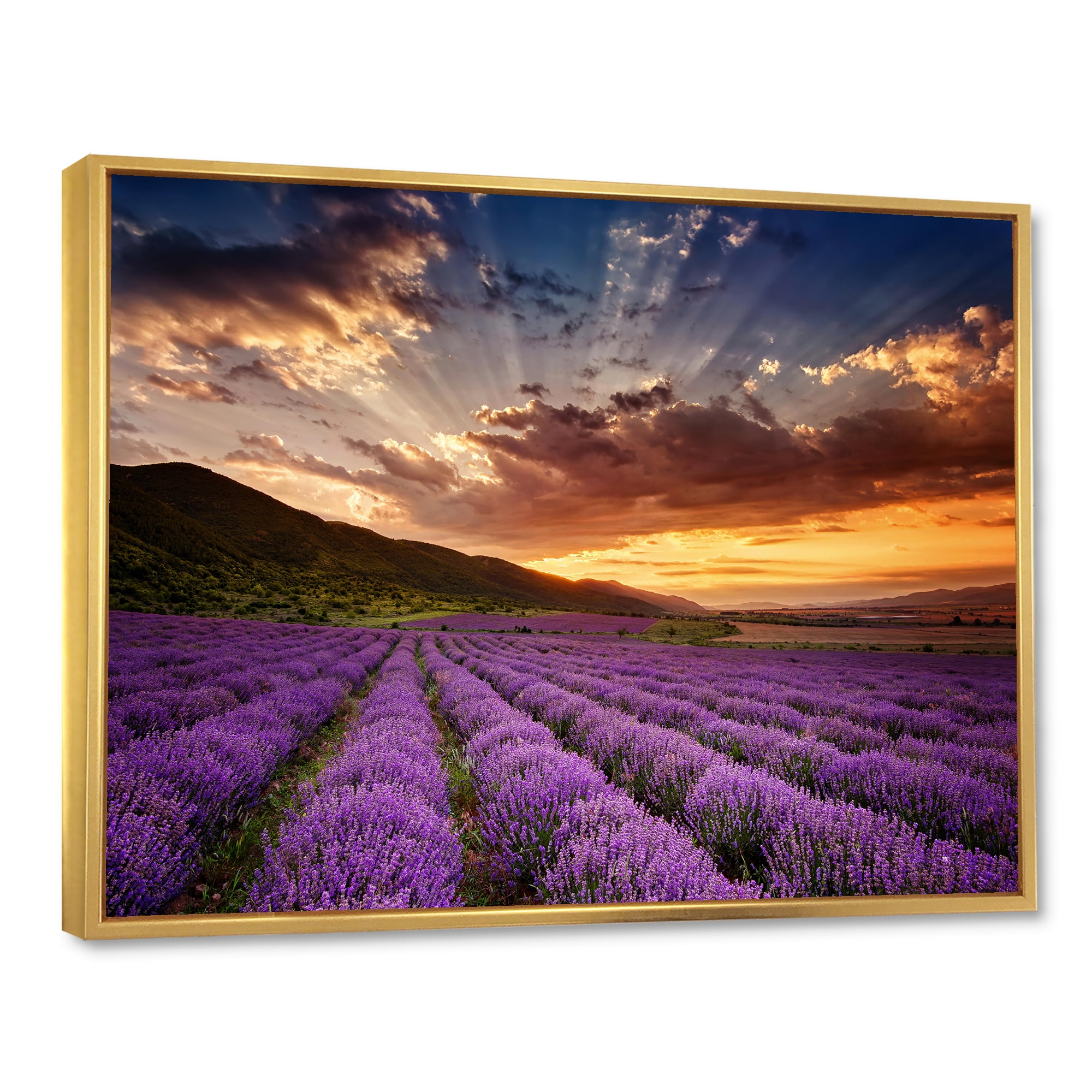 Designart 'Dramatic Clouds and Sunrise Over Lavender Field X' Farmhouse Framed Canvas Wall Art Print