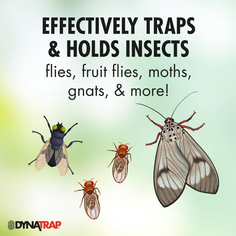 DynaTrap Indoor Fly and Insect Trap with 4 Glue Cards 
