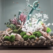 biOrb Natural Starfish Set
