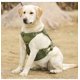 thumbnail image 5 of Chaleco táctico para perros Chinichu para entrenamiento de caminar, color verde, 5 of 9