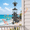 Black, variant on 39.4" Turtle Wind Chimes for Outside, Aluminum Patio Garden Decor